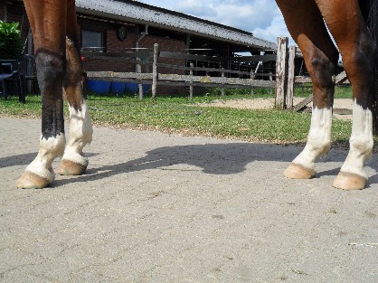 Banden, spieren en pezen moeten de tijd krijgen om zich aan te passen.