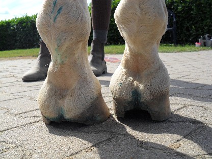 De stelthoef is de helft van wat het was en dat klopt in de tijd!