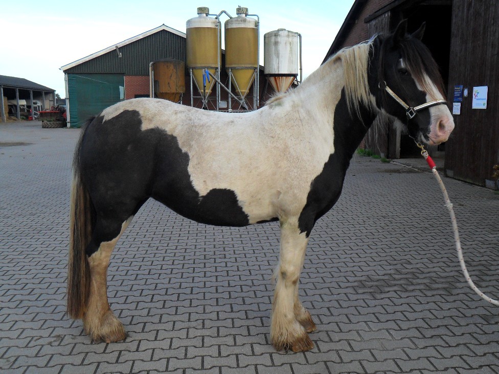 Van een overactieve waakzame staat van zijn