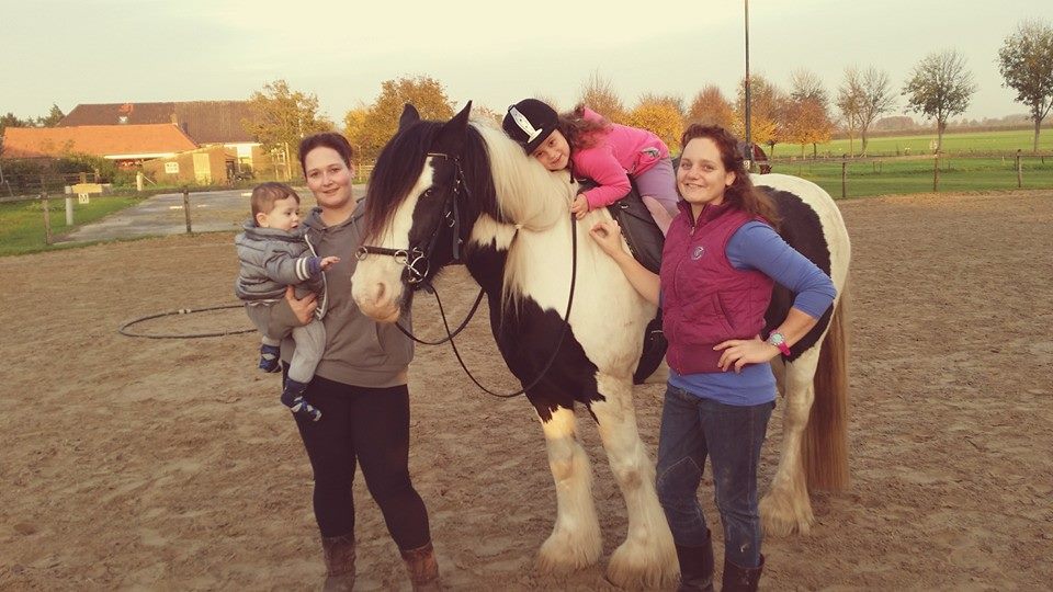 Pogo het familiepaard!