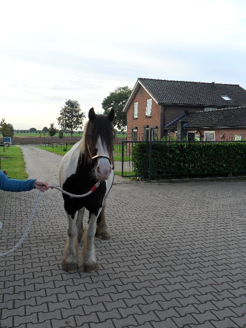 De verminderde oogfunctie had ook zijn aandeel in de natuurlijke scheefheid