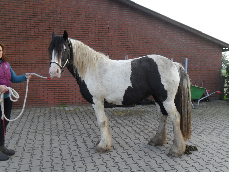 Van nerveus en zelfs wat neurotisch