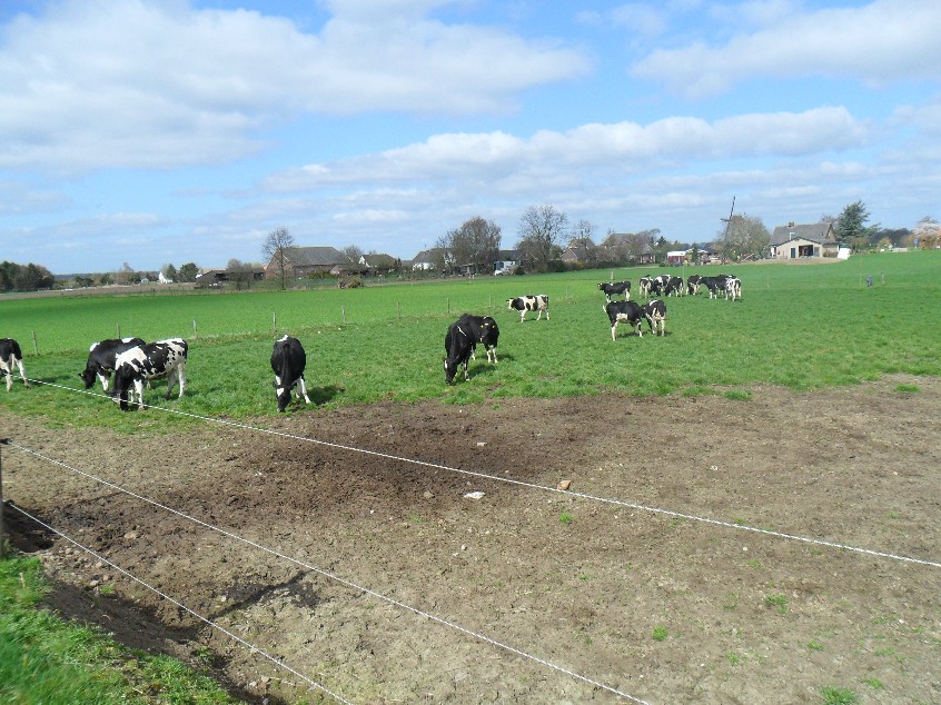 Het goede leven op de Rhaberg
