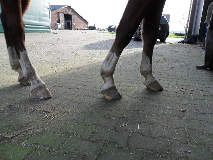 voor-foto rechterzijde