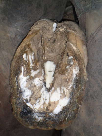 Wat een zooitje......rotstraal