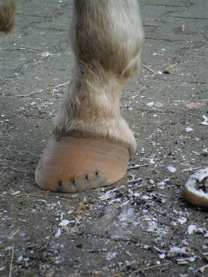 De eerste aanzet is gedaan, let op de dikte van het materiaal wat eraf is gehaald!